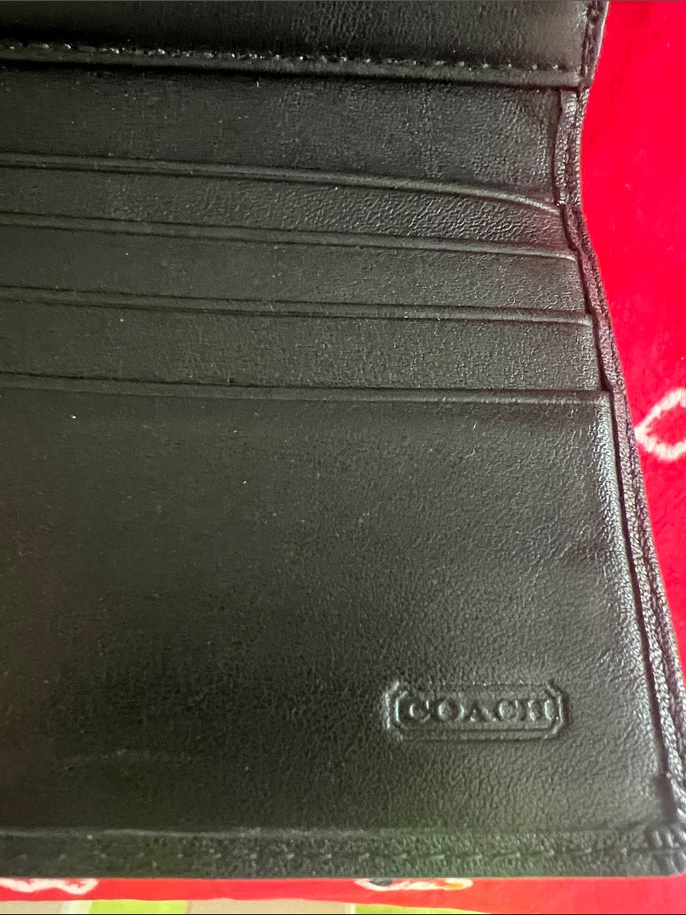 Coach - Picture 6 of 12